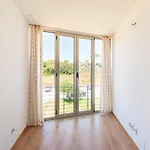 My In - Your Near The With The Castle View!